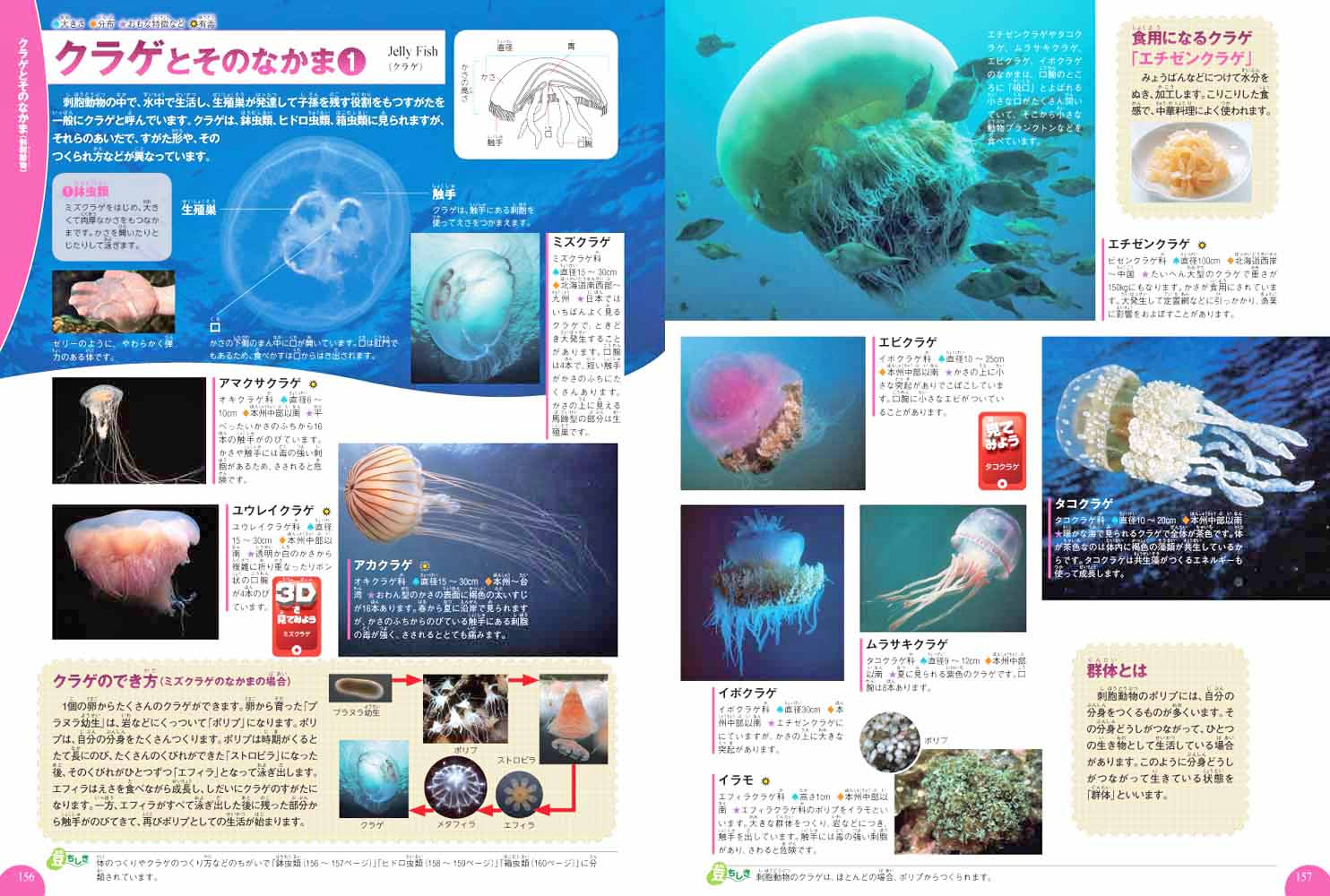 楽天ブックス 水の生き物 武田正倫 9784052043277 本